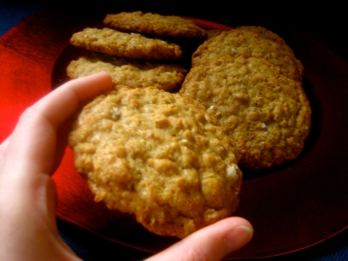 Salted Ginger Oatmeal Cookies